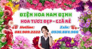 banner-điện-hoa-nam-định